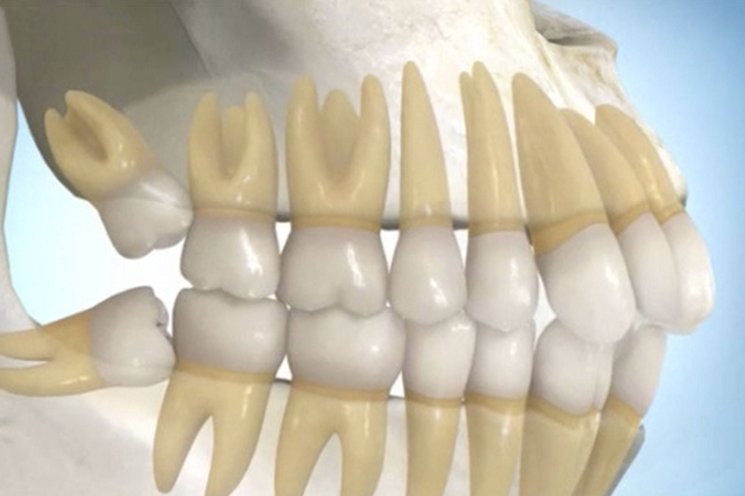 https://frigyadental.com/wp-content/uploads/2023/03/20lik.jpg